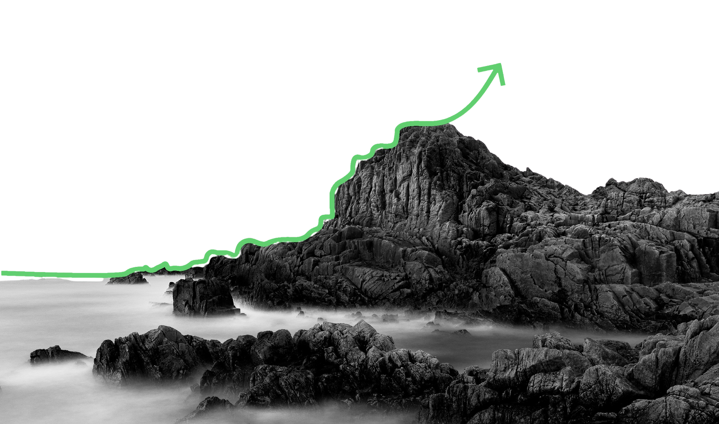 flêche croissance verte sur un rocher